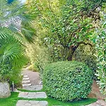 Villa Avec Piscine - Cala Rossa - Acces Lecci